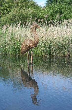 heron