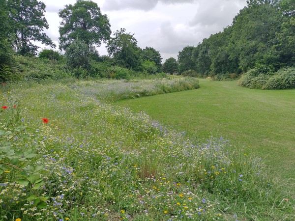 St Richard Open Space