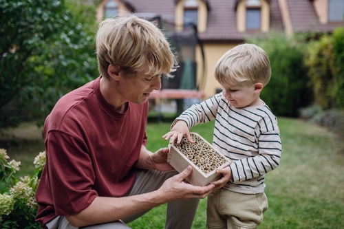 a father and son make a bug hotel.