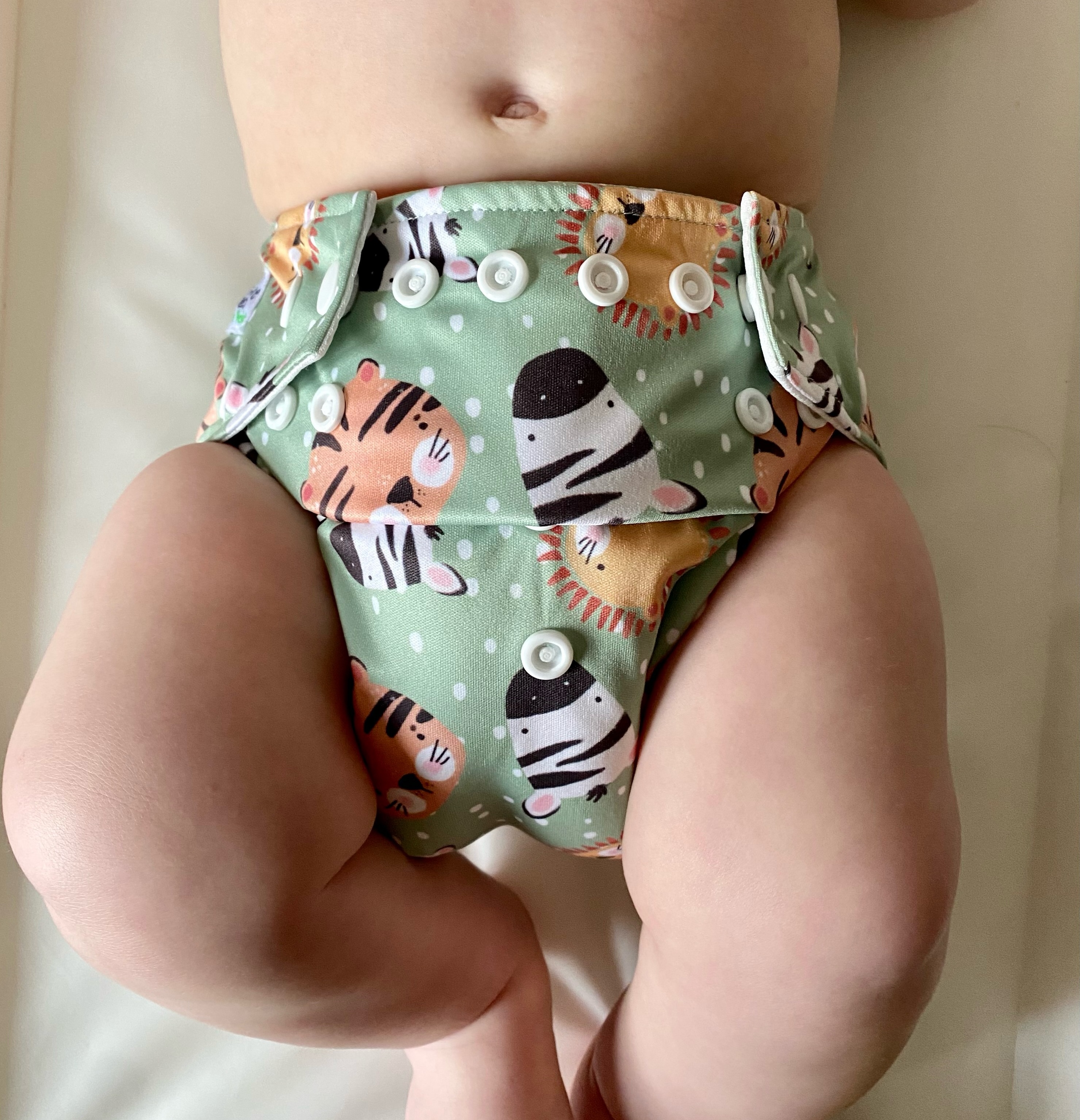 The bottom half of a baby in a reuseable nappy.