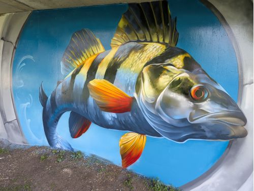 A perch from the River Avon