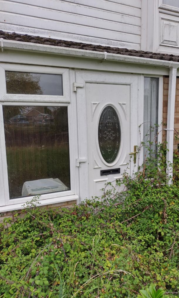 White front door, covered by overgrown bushes